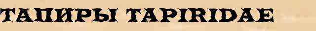 Тапиры (Tapiridae) словарная статья в универсальной энциклопедии Ф. А. Брокгауз — И. А. Ефрон 